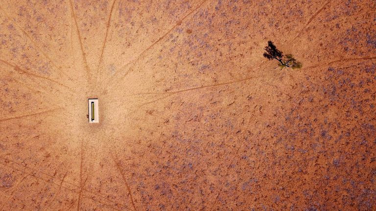 A lone tree stands near a water trough in a drought-affected paddock on Jimmie and May McKeown&#39;s property located on the outskirts of town of Walgett, in New South Wales, Australia, July 20, 2018