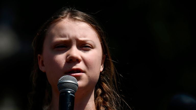 Swedish climate activist Greta Thunberg, 16, is due to meet British politicians next week