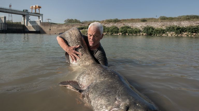 Jeremy Wade holding a catfish at the Isola Serrafini Dam. Pic: Animal Planet