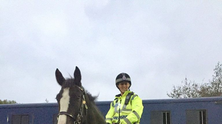 Police horse dies after being impaled by metal pole at football match ...