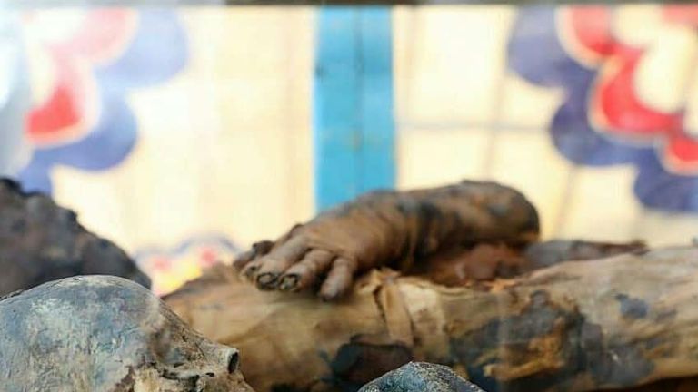 The mummified remains of the owners of the tomb Tutu and T-Cheret Isis