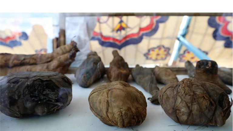 The mummies are being examined by archaeologists. Pic: Egypt Ministry of Antiquities