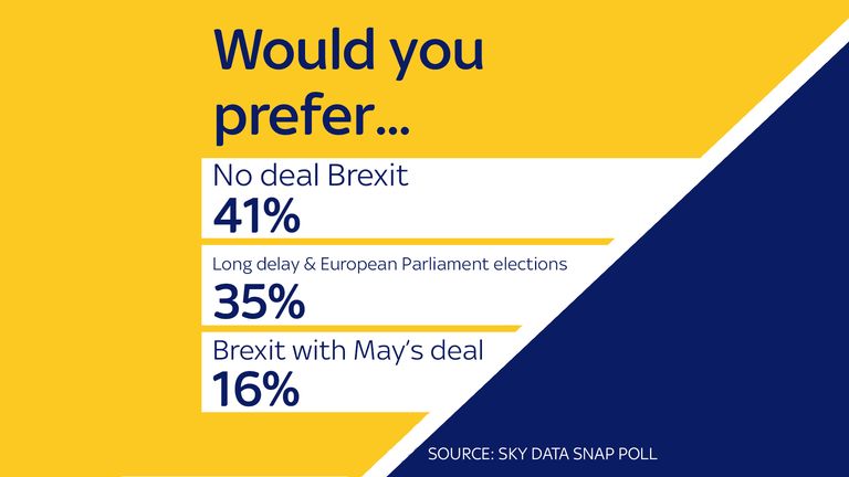 A quarter of public would boycott EU elections - Sky Data