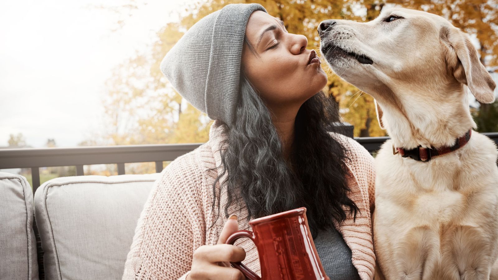 Overly affectionate pet owners increase risk from drugresistant bugs