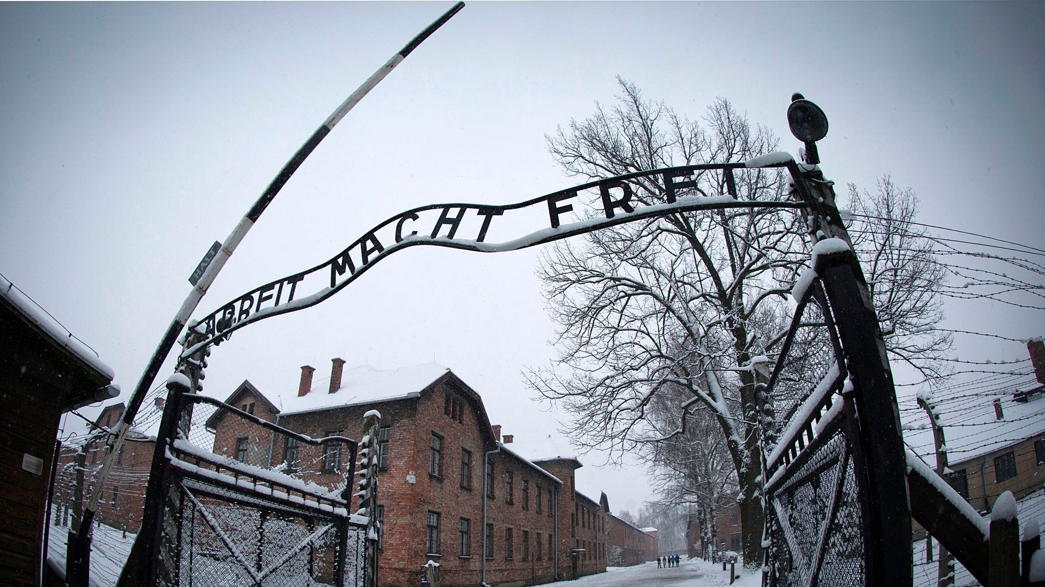 Holocaust survivor recalls Auschwitz 'nightmare' - and his fears for ...