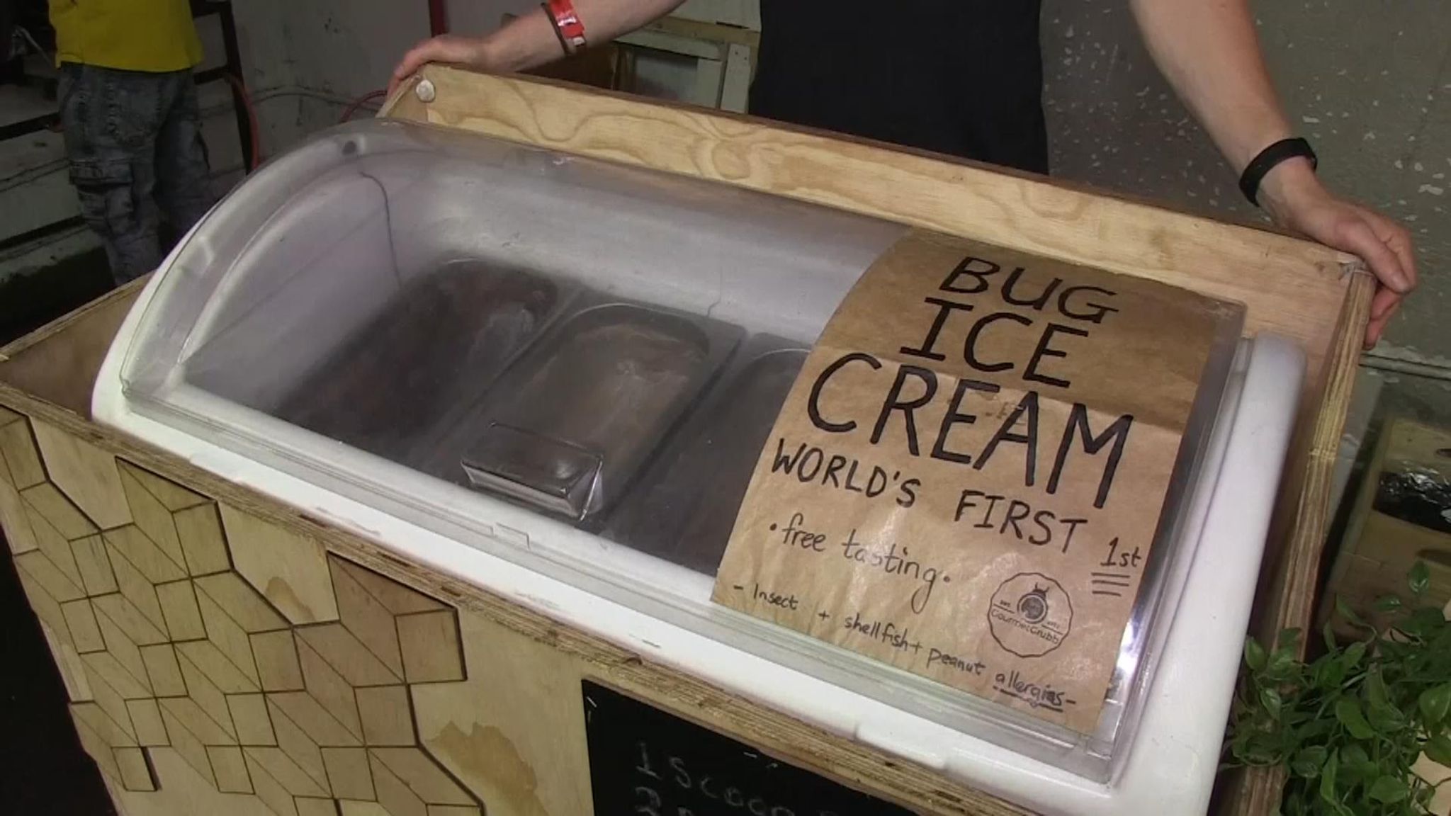 Maggot ice cream touted as ecofriendly alternative to traditional