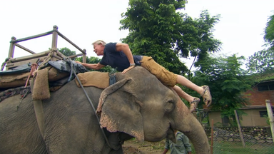 riding the elephant craig ferguson