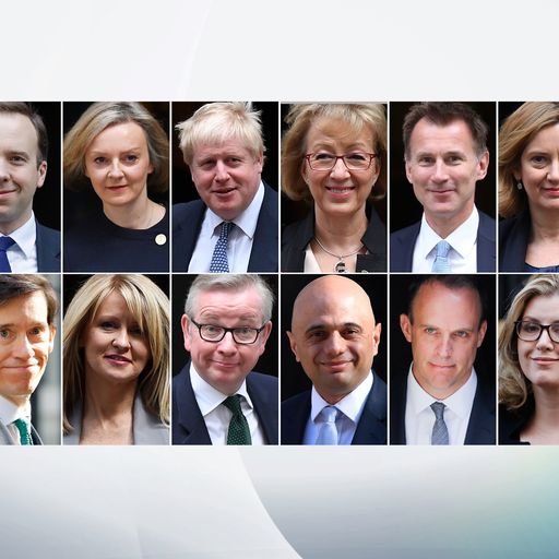 Runners and riders who could replace May
