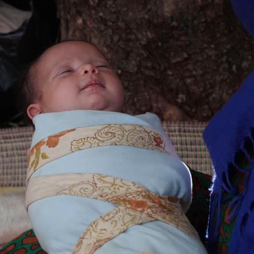 Pregnant mothers give birth in olive groves after fleeing Syria violence