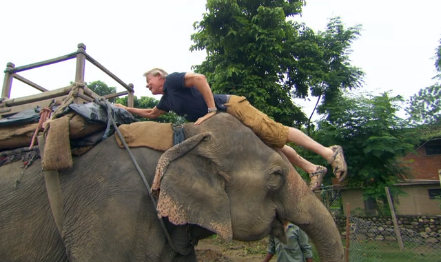 Animal charity Born Free drops Martin Clunes for riding elephant on ITV