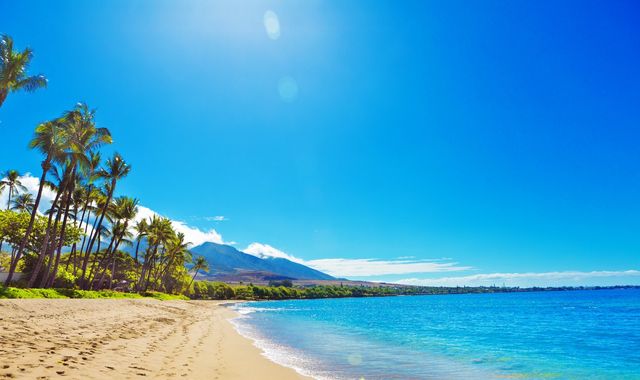 Man dies after being attacked by shark in Hawaii