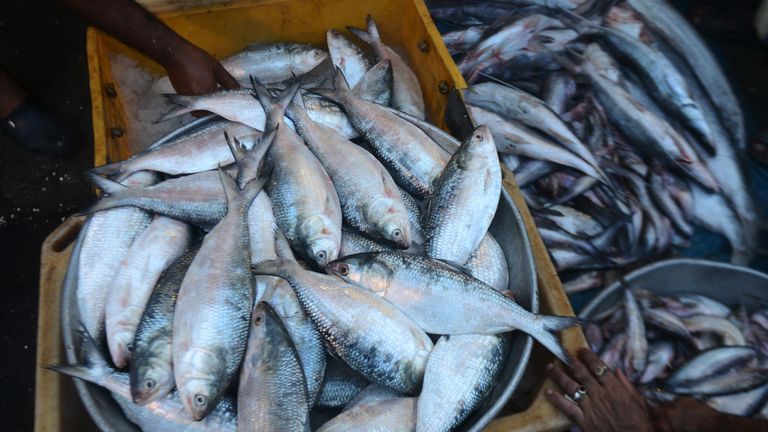 Similar bans have been put in place in the past, but this is the first time it will be extended to all fishing vessels