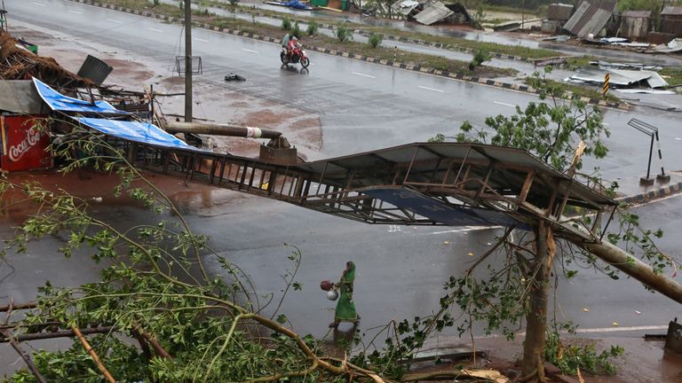 Uprooted trees following Cyclone Fani in Khordha district in the eastern state of Odisha, India