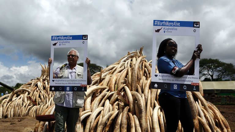 Political corruption and Chinese demand for ivory killing elephants