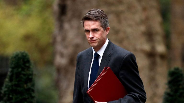 Gavin Williamson said Theresa May&#39;s attempts to do a cross-party Brexit deal are "destined to fail"