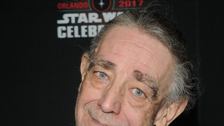 Peter Mayhew attends the 40 Years of Star Wars panel during the 2017 Star Wars Celebration at Orange County Convention Center on April 13, 2017 in Orlando, Florida