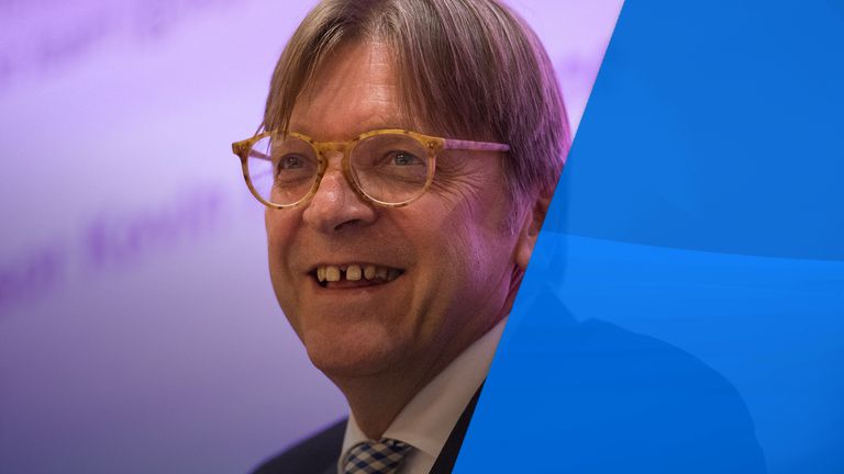 Liberal MEP Guy Verhofstadt
