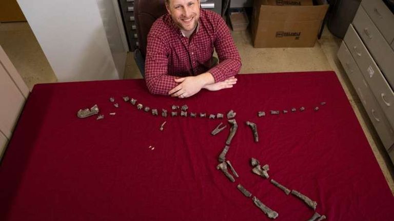 Sterling Nesbitt and fossil remains of Suskityrannus hazelae, which he found at age 16 in 1998. Credit: Virginia Tech
