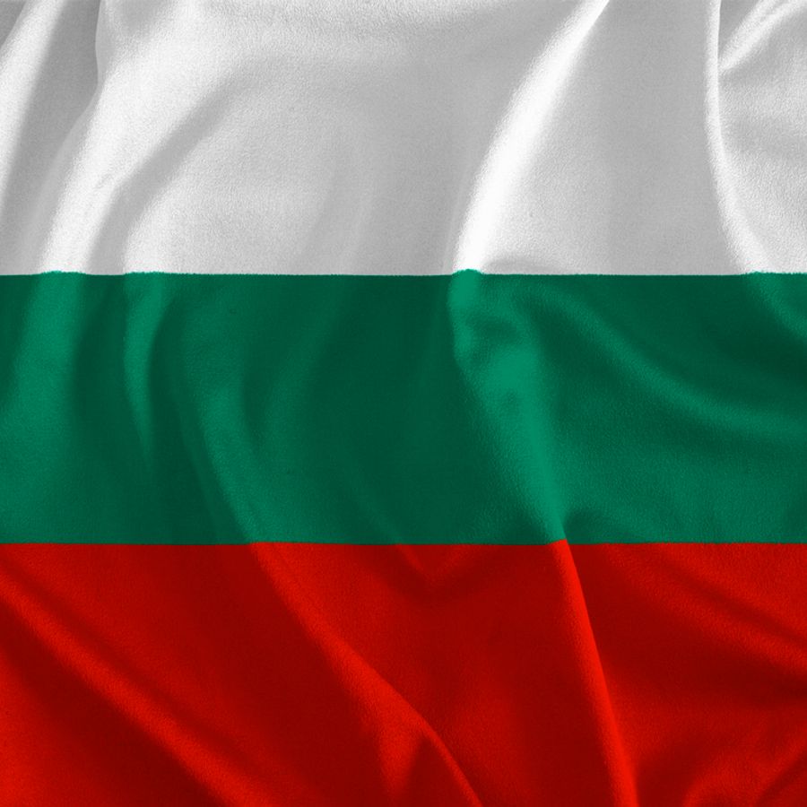 The Bulgarian flag
