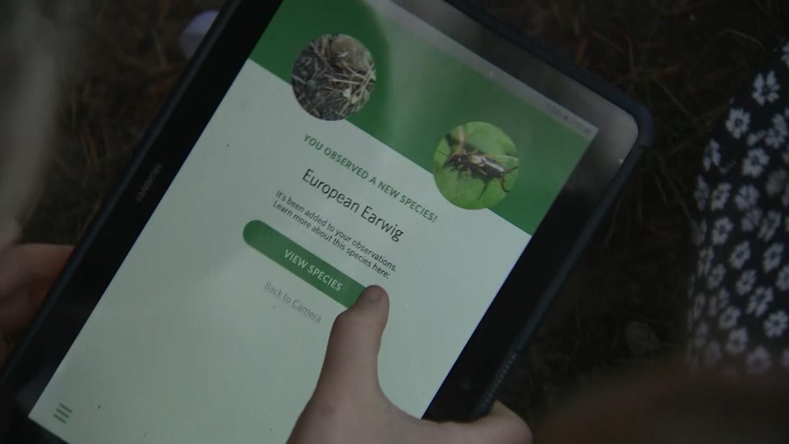 Wildlife app will encourage children to help build species database