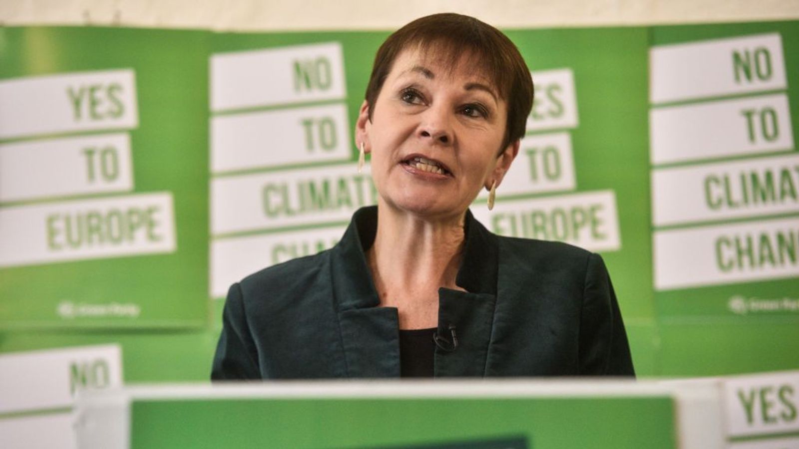Caroline Lucas apologises for only asking white women to join anti-Brexit cabinet