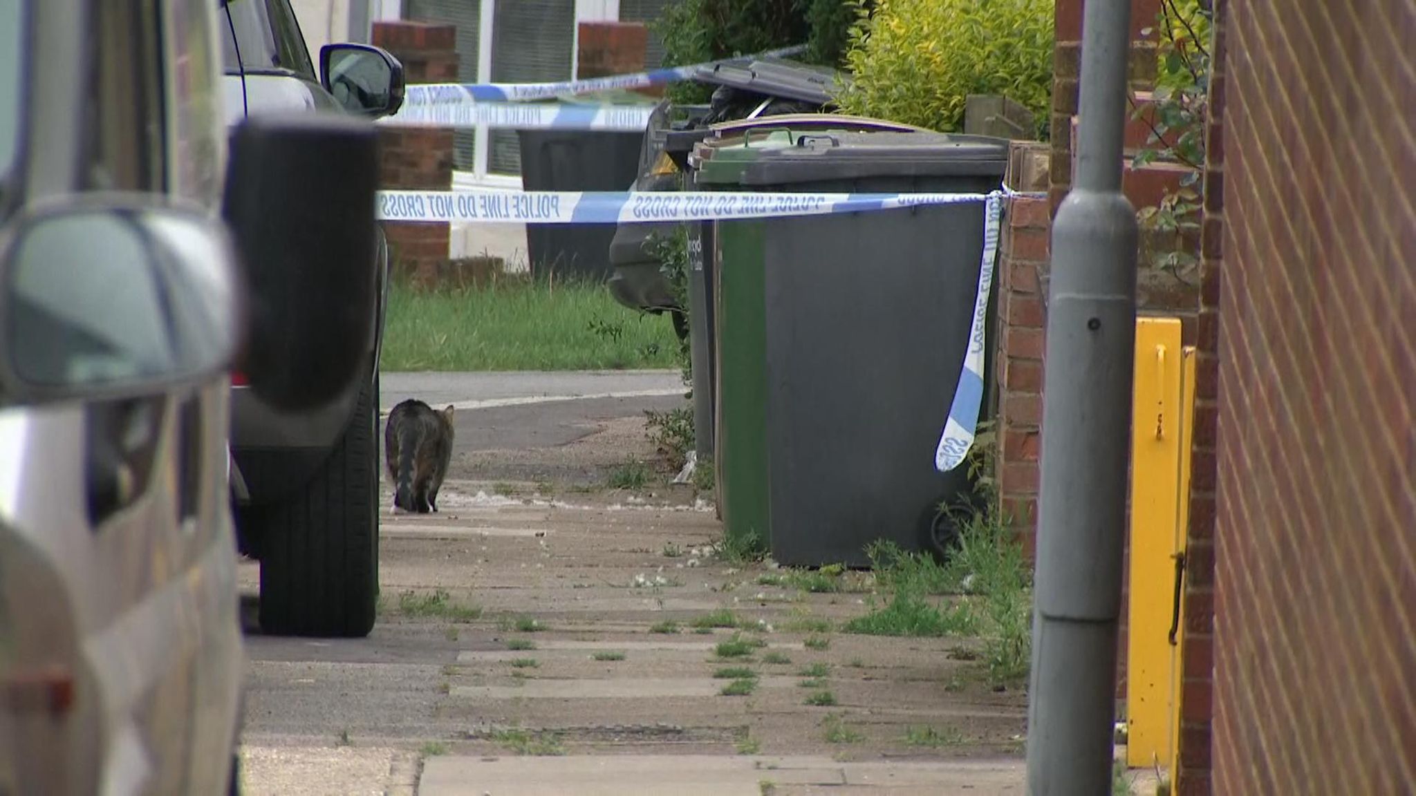 Boy, 15, fights for life after being stabbed 20 times in 'horrific' Luton attack UK News Sky