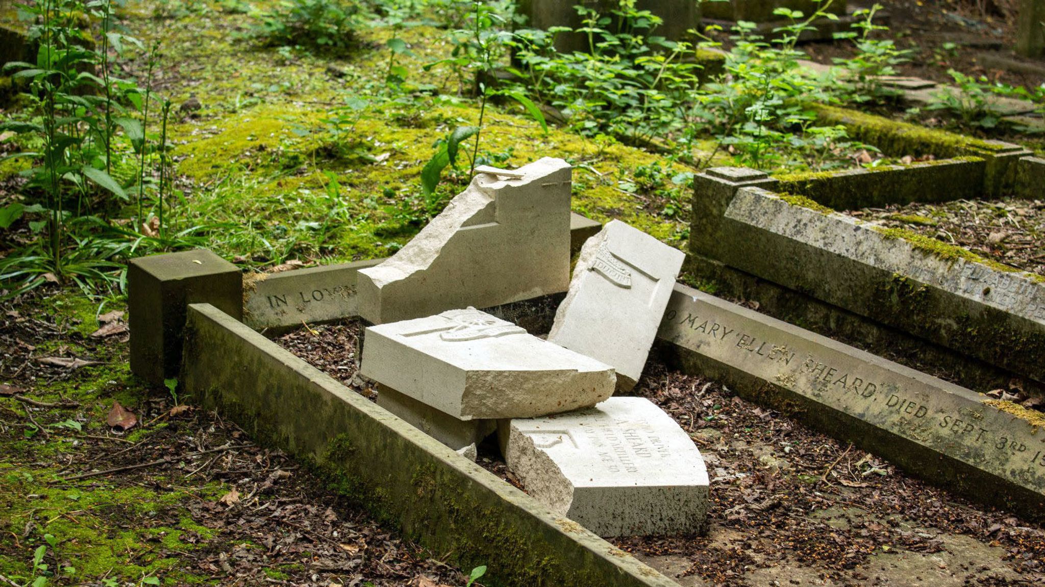 На дне могилы. Desecrating Grave.