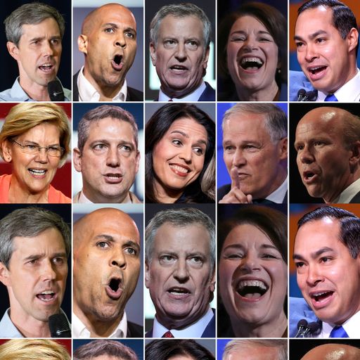 First 10 candidates hoping to oust Trump