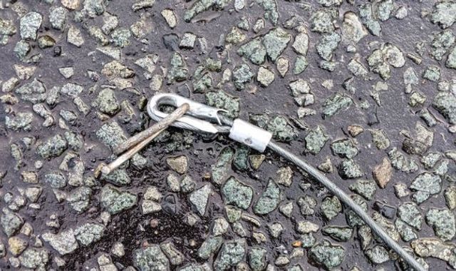 French bulldog tied to vehicle in Bootle and dragged to her death