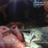 Incredible moment abandoned newborn is rescued from plastic bag