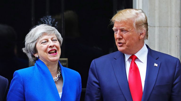 Theresa May welcomes Donald Trump to Downing Street