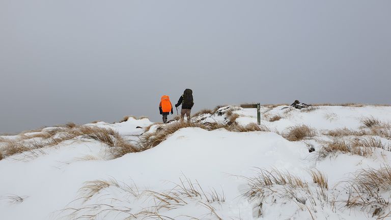 Rescuers. Pic: New Zealand