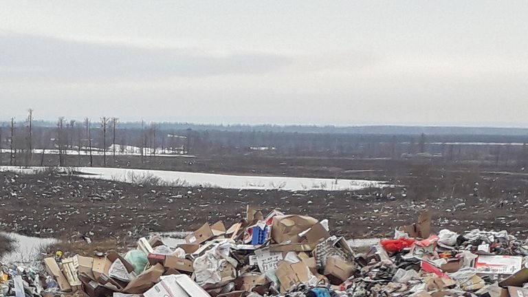 The bear desperately searched for food on a garbage dump