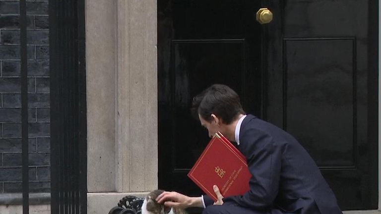 International development secretary Rory Stewart MP was asked to stroke Larry the cat by the waiting press, so he did