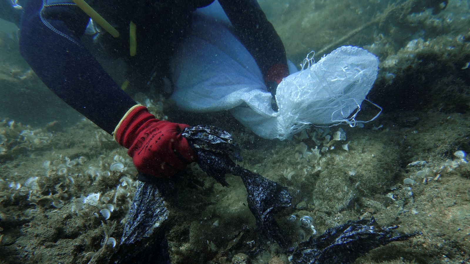 'It really shook me': Divers pull thousands of plastic bags from seabed in Greece