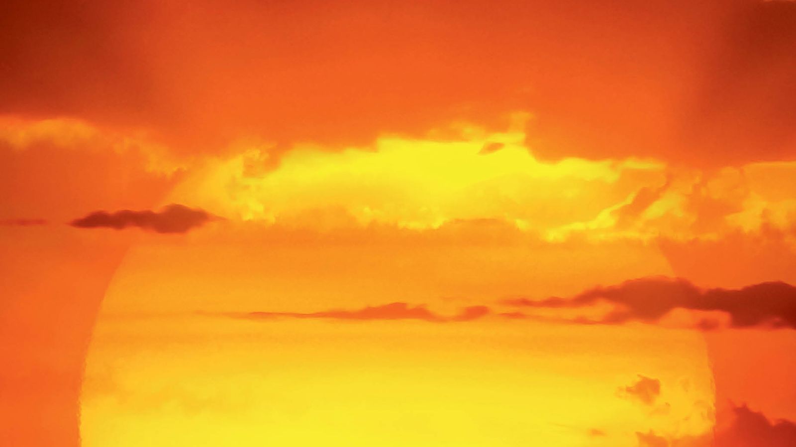 A roaring success! Lion King dominates the box office on debut weekend ...