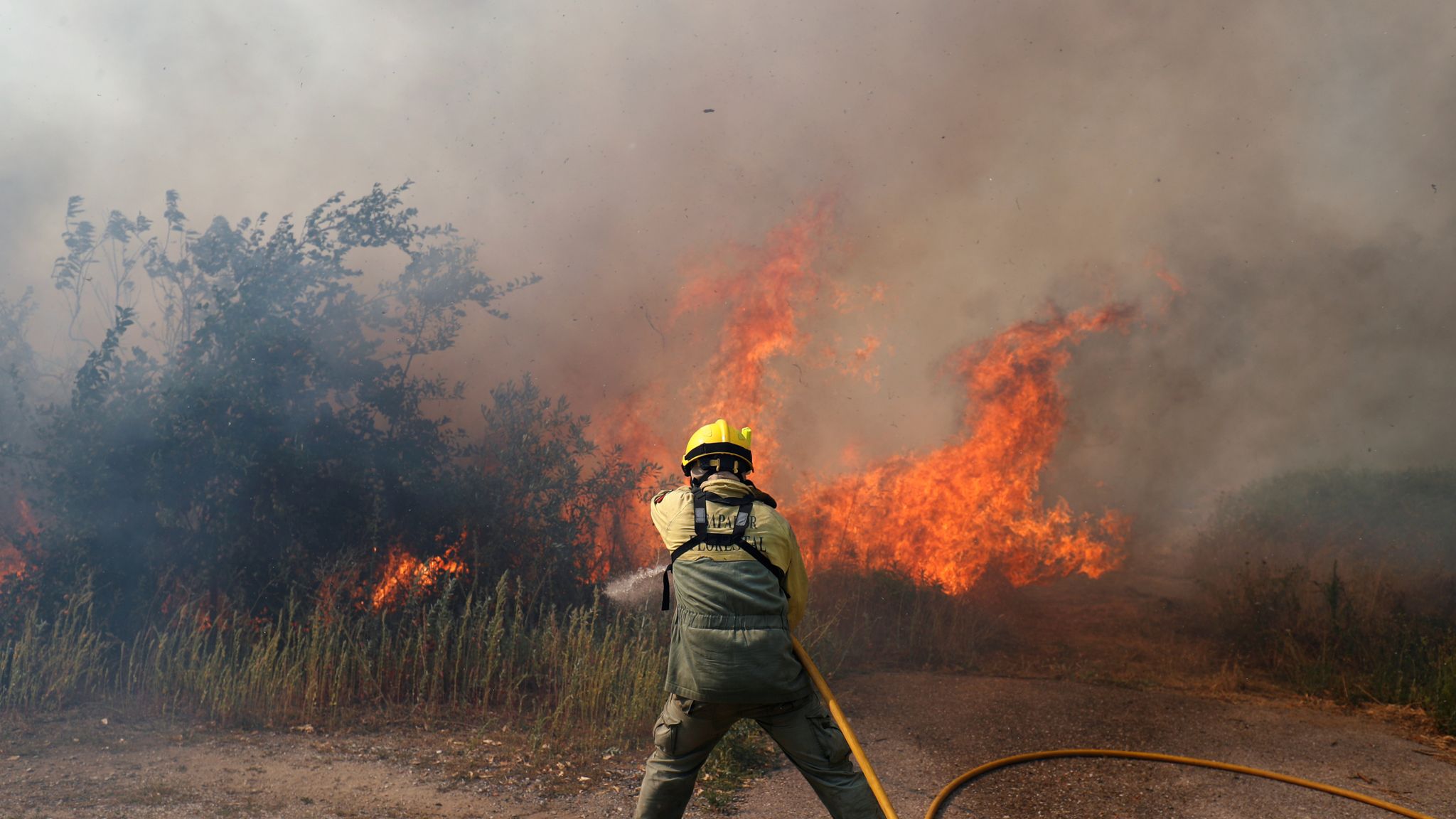 Near the fire. Пожар. Пожар в лесу. Пожар картинки. Пожарные леса.