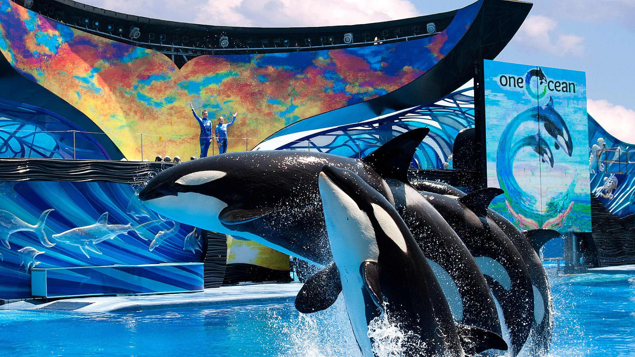 Why Travel Giant Expedia Will No Longer Sell Tickets to SeaWorld