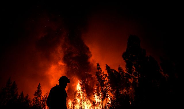 Nine injured as 1,000 firefighters battle wildfires in Portugal