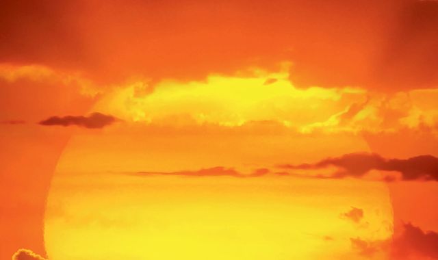 A roaring success! Lion King dominates the box office on debut weekend