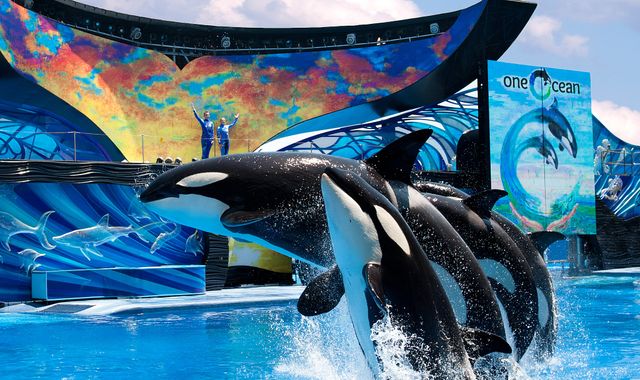 SeaWorld hits back at Sir Richard Branson as Virgin stops selling park tickets