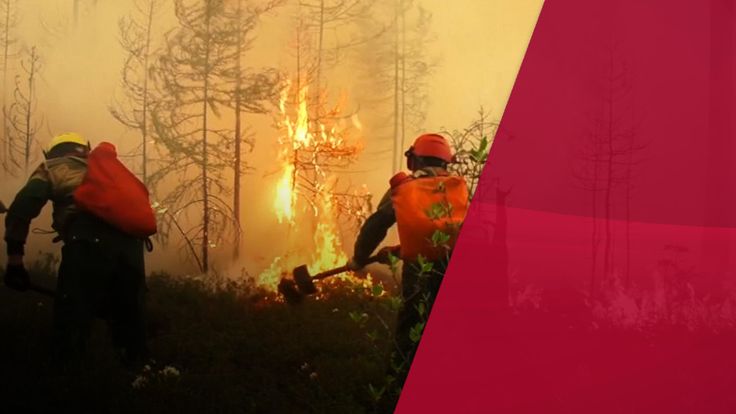Woods in Irkutsk in eastern Siberia burn