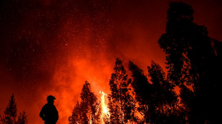 A firefighter monitors the progression of a wildfire at Amendoa in Macao, central Portugal on July 21, 2019. - More than a thousand firefighters battled to control wildfires in central Portugal that have forced village evacuations, in a region where dozens were killed in huge blazes in 2017. The firefighters were deployed to tackle three fires in the mountainous and heavily forested Castelo Branco region, 200 kilometres north of Lisbon, according to the website of the Civil Protection. (Photo by PATRICIA DE MELO MOREIRA / AFP)        (Photo credit should read PATRICIA DE MELO MOREIRA/AFP/Getty Images)