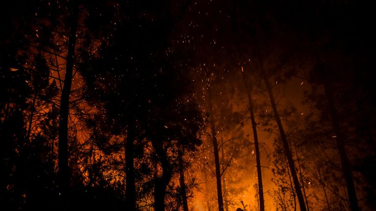 A firefighters tackles a wildfire at Amendoa in Macao, central Portugal on July 21, 2019. - More than a thousand firefighters battled to control wildfires in central Portugal that have forced village evacuations, in a region where dozens were killed in huge blazes in 2017. The firefighters were deployed to tackle three fires in the mountainous and heavily forested Castelo Branco region, 200 kilometres north of Lisbon, according to the website of the Civil Protection. (Photo by PATRICIA DE MELO MOREIRA / AFP)        (Photo credit should read PATRICIA DE MELO MOREIRA/AFP/Getty Images)