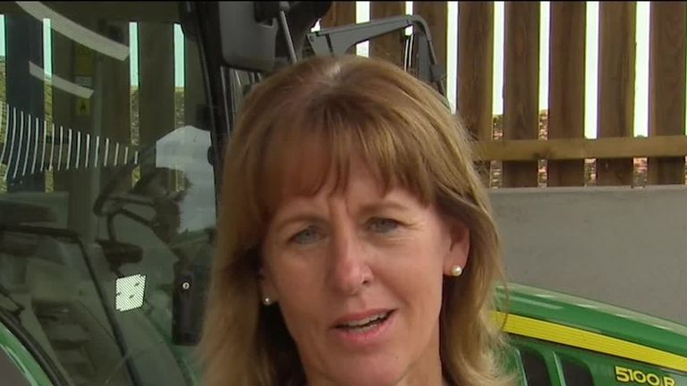  No deal &#39;Economically disastrous&#39; for farms says NFU