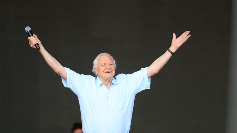 Sir David Attenborough making a surprise appearance on Glastonbury&#39;s Pyramid stage to launch the BBC&#39;s new natural history series Seven Worlds, One Planet which will premiere later this year. PRESS ASSOCIATION Photo. Picture date: Sunday June 30, 2019. See PA story SHOWBIZ Glastonbury Attenborough. Photo credit should read: Aaron Chown/PA Wire