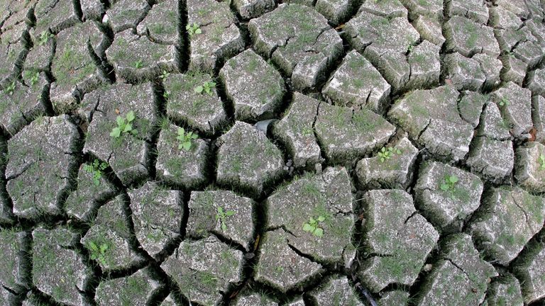 Climate change can lead to changes in weather patterns causing periods of drought or severe flooding
