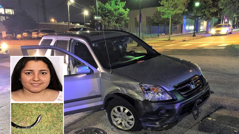 Hilmary Moreno-Berrios (inset top) allegedly stole an SUV (pictured) by throwing a live snake (inset bottom) at the driver. Pic: Greenville Police Department