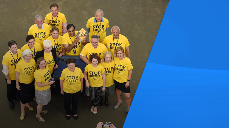 The Lib Dems dressed in 'stop Brexit' shirts in the European Parliament