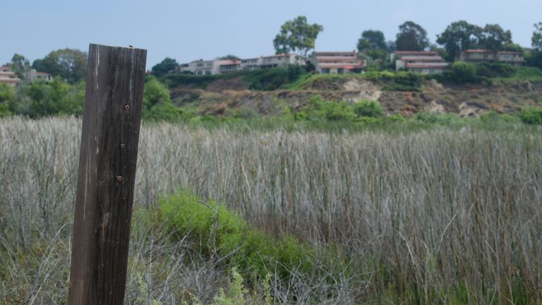 Linda's body was found in a nature reserve